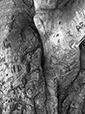 Intimacy 20
